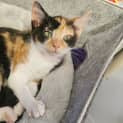 Photo of Trudy