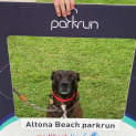 Photo of Parky