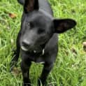 Photo of Kinnie 