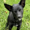 Photo of Kinnie 