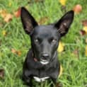 Photo of Kinnie 