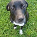Photo of Maggie