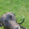 Photo of Maggie