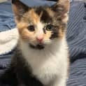 Photo of Belle