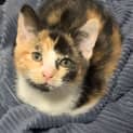 Photo of Belle