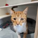 Photo of Mister