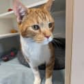 Photo of Mister