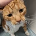 Photo of Mister