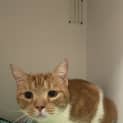 Photo of Mister