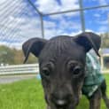 Photo of Edna