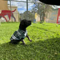 Photo of Edna