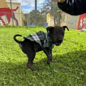 Photo of Edna