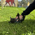 Photo of Edna