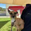 Photo of Tippi