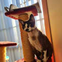 Photo of Riley   In Foster