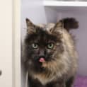Photo of Holly