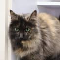 Photo of Holly