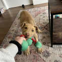 Photo of Lucy