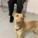 Photo of Lucy