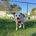 Photo of Jessie