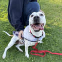 Photo of Jessie