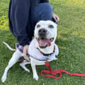 Photo of Jessie