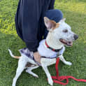 Photo of Jessie