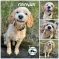 Photo of Grovar 