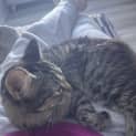 Photo of Elodie