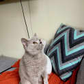 Photo of Lettie