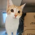 Photo of Lily