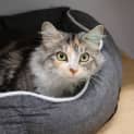 Photo of Lilu