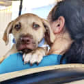Photo of Jango