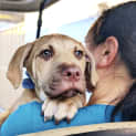 Photo of Jango