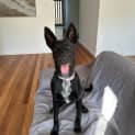 Photo of Laverne