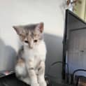 Photo of Linda
