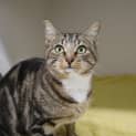 Photo of Mortimer