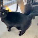 Photo of Betty
