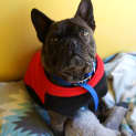 Photo of Butch