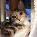 Photo of Penelope