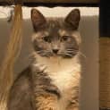 Photo of Esmeralda