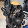 Photo of Jiji