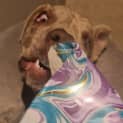 Photo of Sirocco