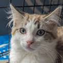 Photo of Lucas