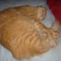 Photo of Sophie