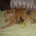 Photo of Sophie