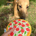 Photo of Lindy