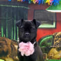 Photo of Gloria
