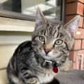 Photo of Zippy