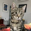 Photo of Zippy
